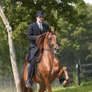 Meet your Posher, Alicia